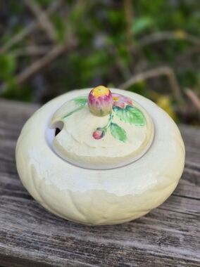 Carlton Ware Made In England Wild Rose Pattern Jam Jar / Dish